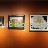 Fine Arts Show