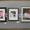 Fine Arts Show
