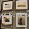 Fine Arts Show